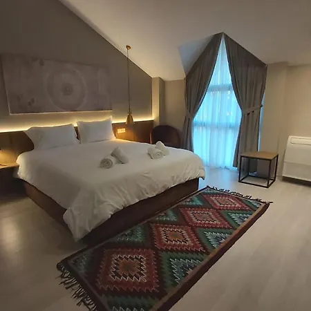 Hotel Mik *