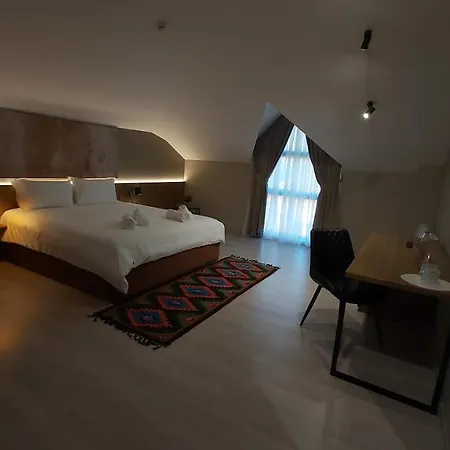 Hotel Mik *