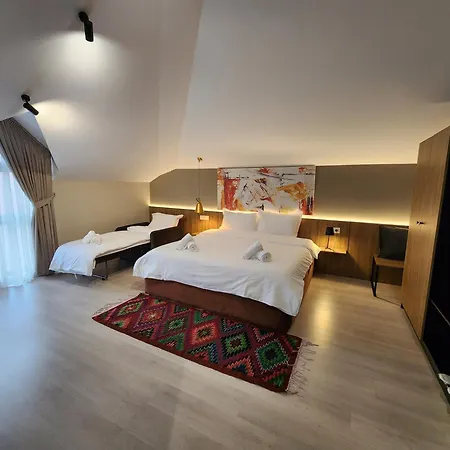 Hotel Mik